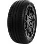 Легковая шина Delinte DS2 205/50 R17 93W